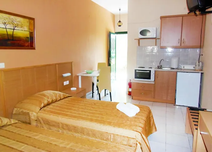 Apartment Synodinos Studios